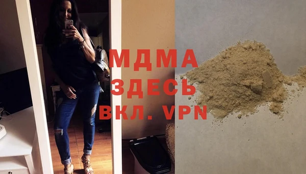 гидра Богданович