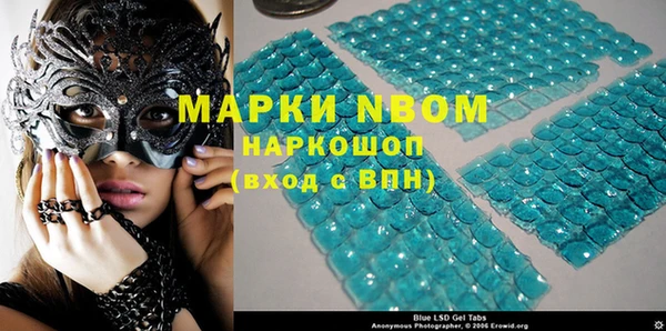сатива Богородицк
