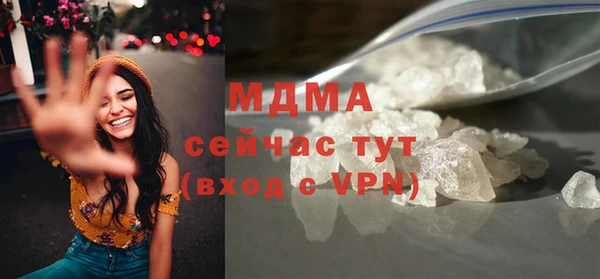 гидра Богородск