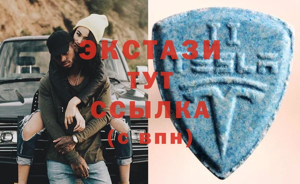 гидра Богородск
