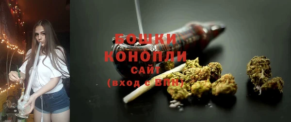 гидра Богданович