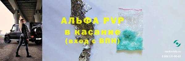 гидра Богородск