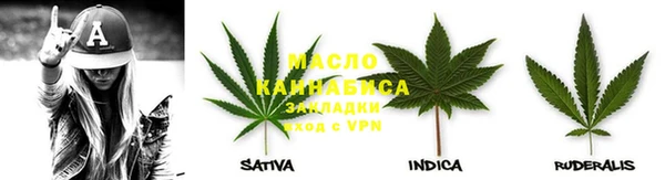 гидра Богданович