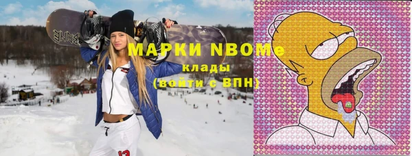 гидра Богородск