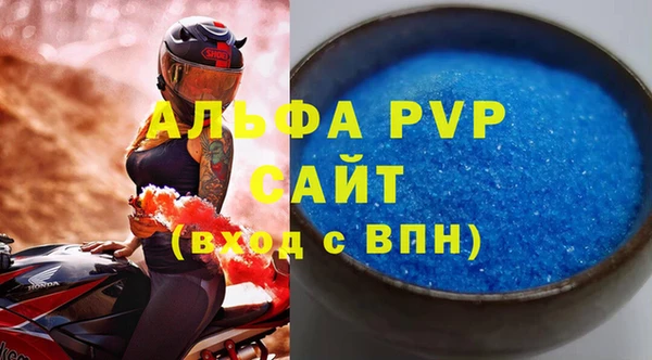 гидра Богородск