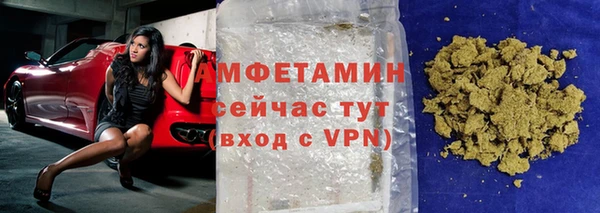 гидра Богданович