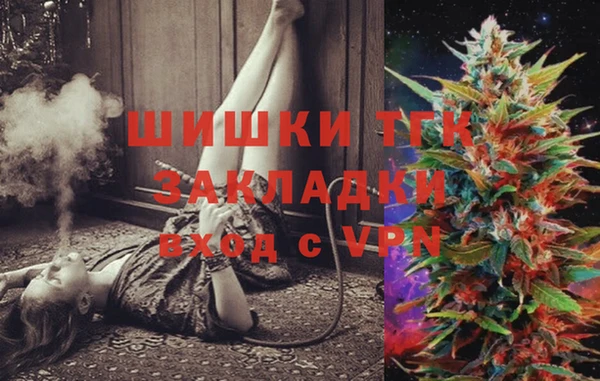 гидра Богданович