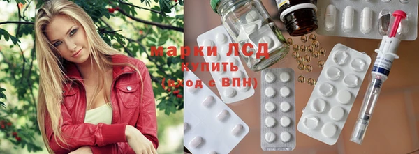 гидра Богданович