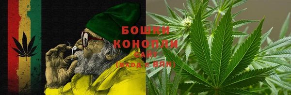 сатива Богородицк