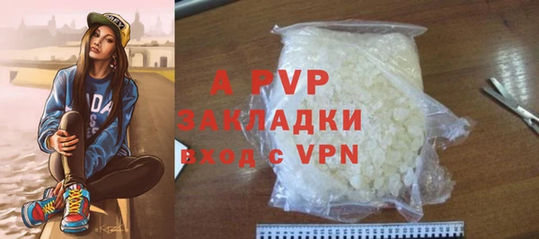 гидра Богданович