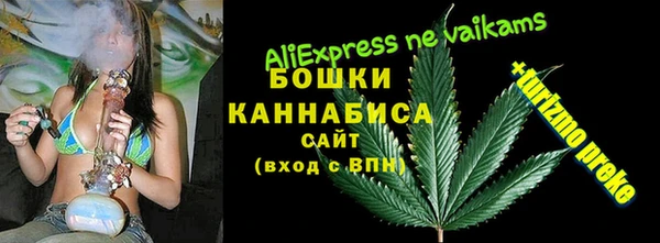 гидра Богородск